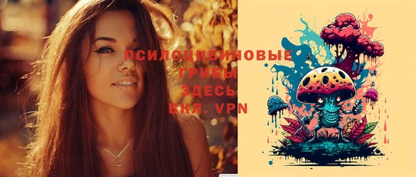гашик Абинск